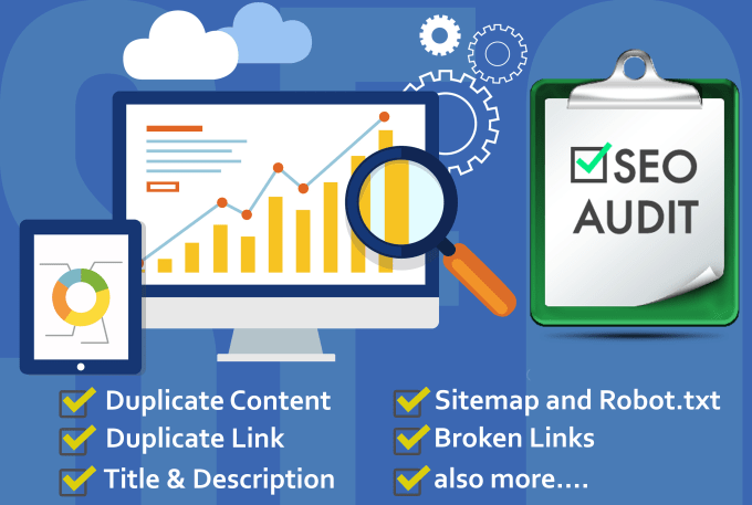 Website Audit
